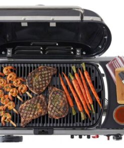 Alternative view of Weber Traveler Stealth