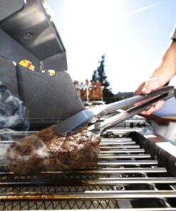 Broil King Baron S590 Ir - Image 27